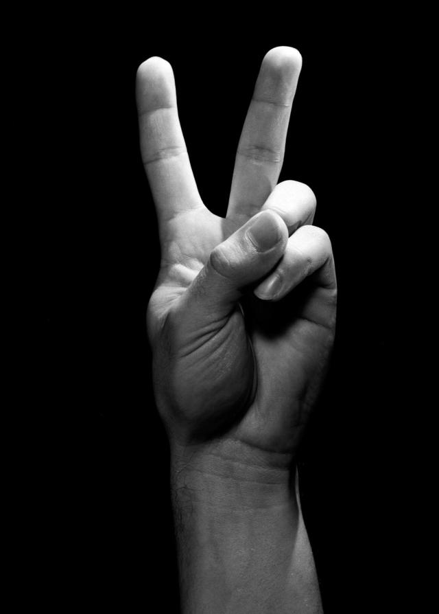 Studio shot of male hand showing peace sign